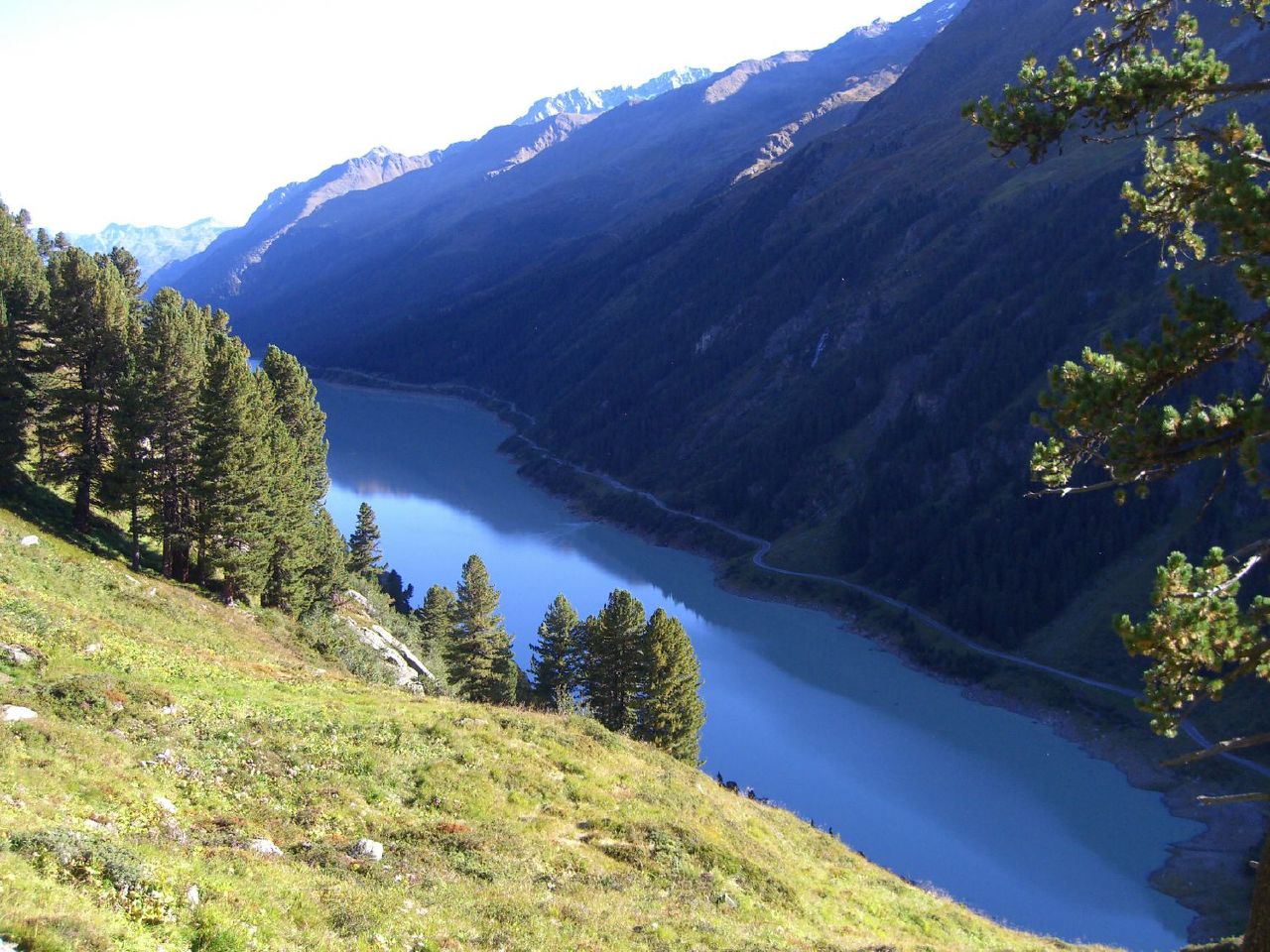 a large valley surrounded by mountains with trees