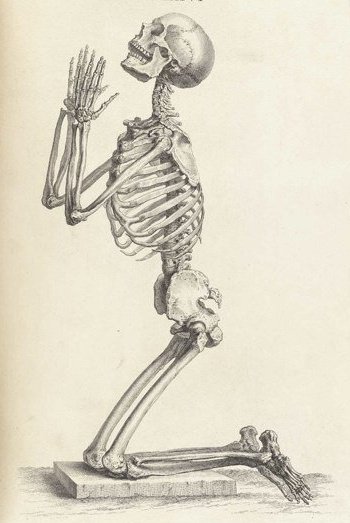 a skeleton with its arm stretched and the head cocked