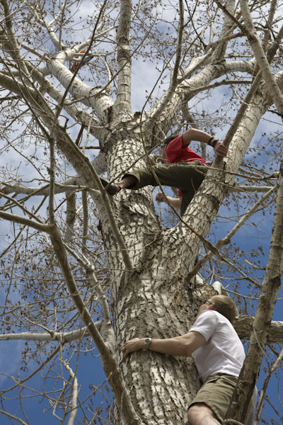 two people are climbing up a large tree