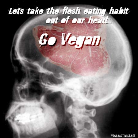 a picture with a quote about go vegan