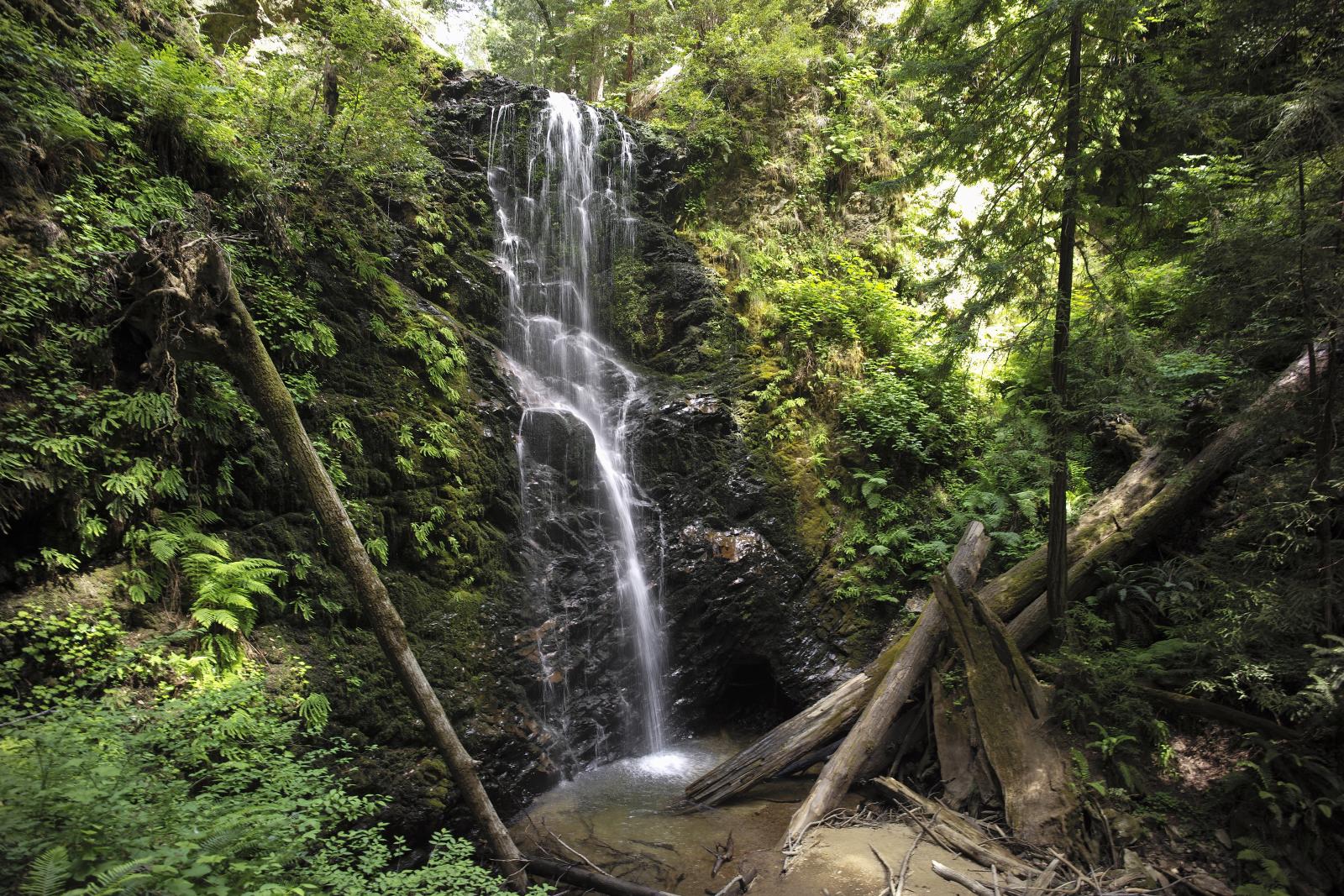 a large waterfall running into the forest