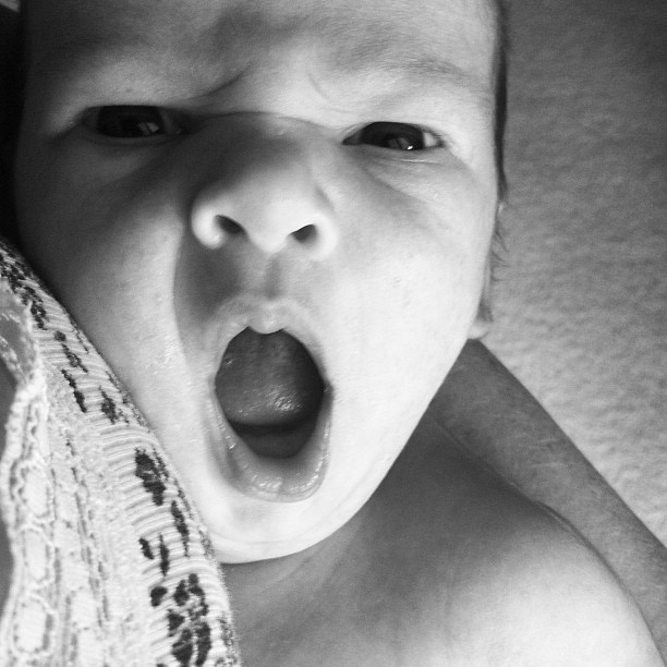 an infant opens its mouth for the camera