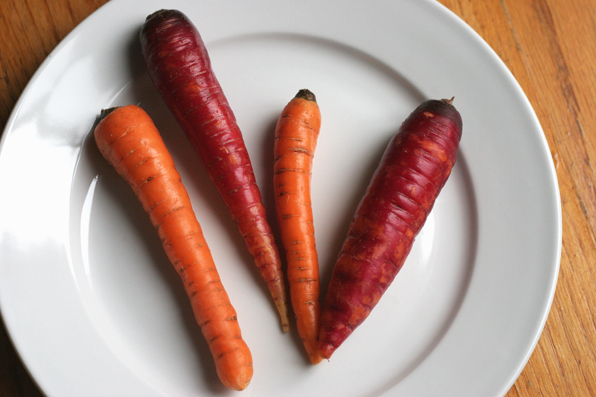 three carrots sit on a white plate on the table