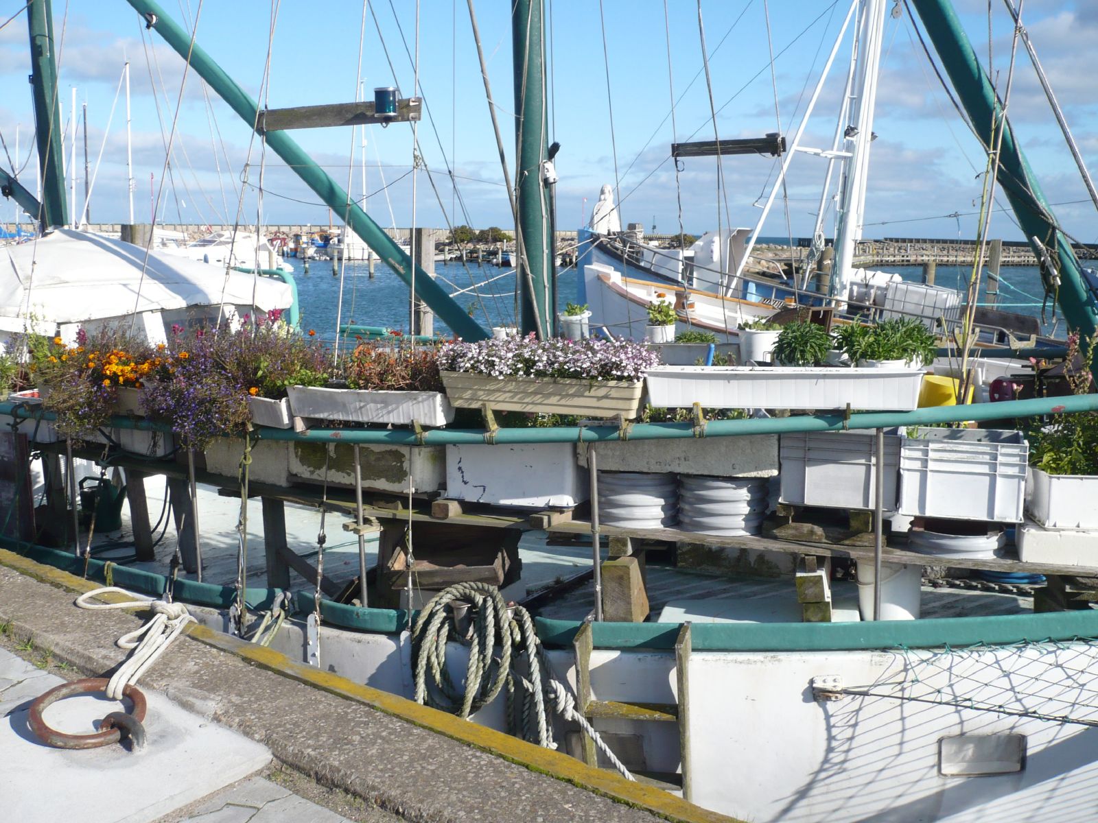 boats are docked at a harbor with many plants growing on the sides