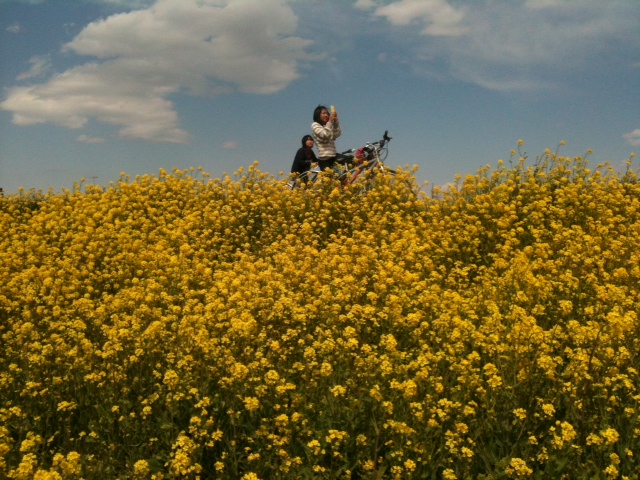 a man on a motor bike in a field of flowers