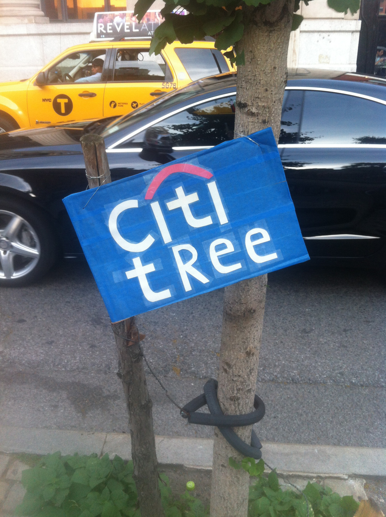 a blue sign that says city tree hanging from a tree