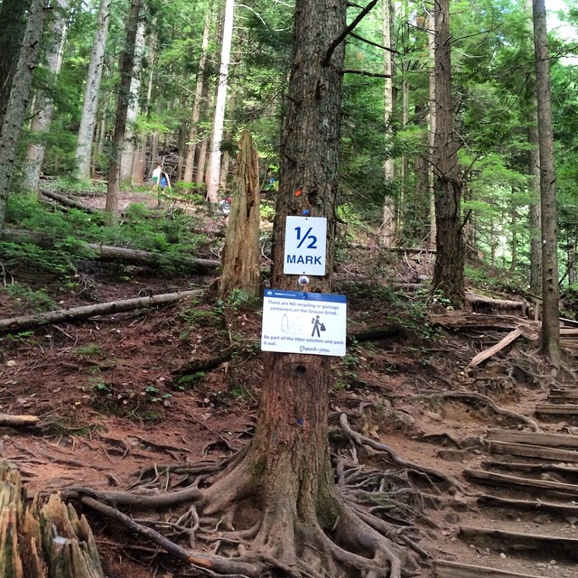 there is a trail sign next to a tree in the woods