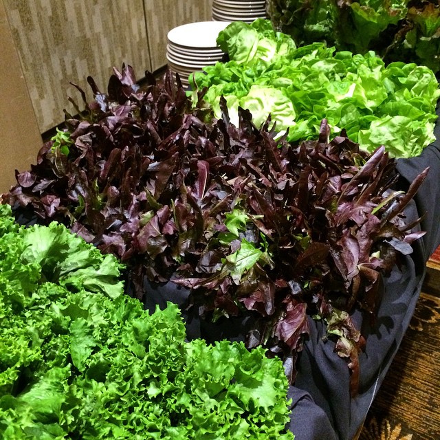 lettuce is arranged in rows next to stacks of plates