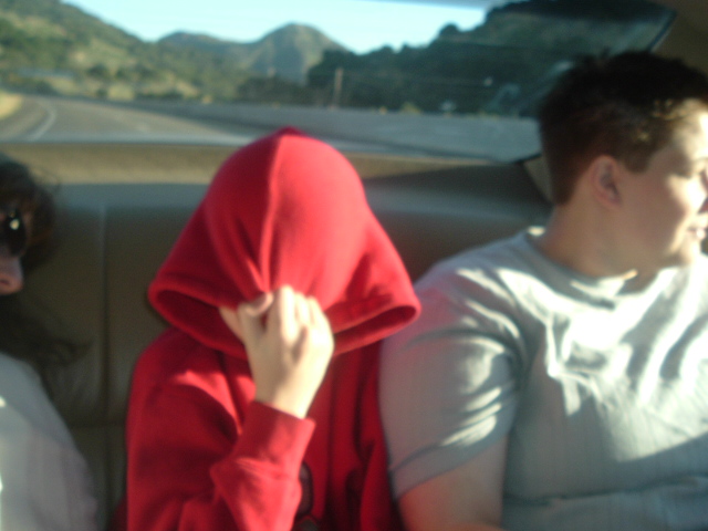 two people sitting in a car on a road