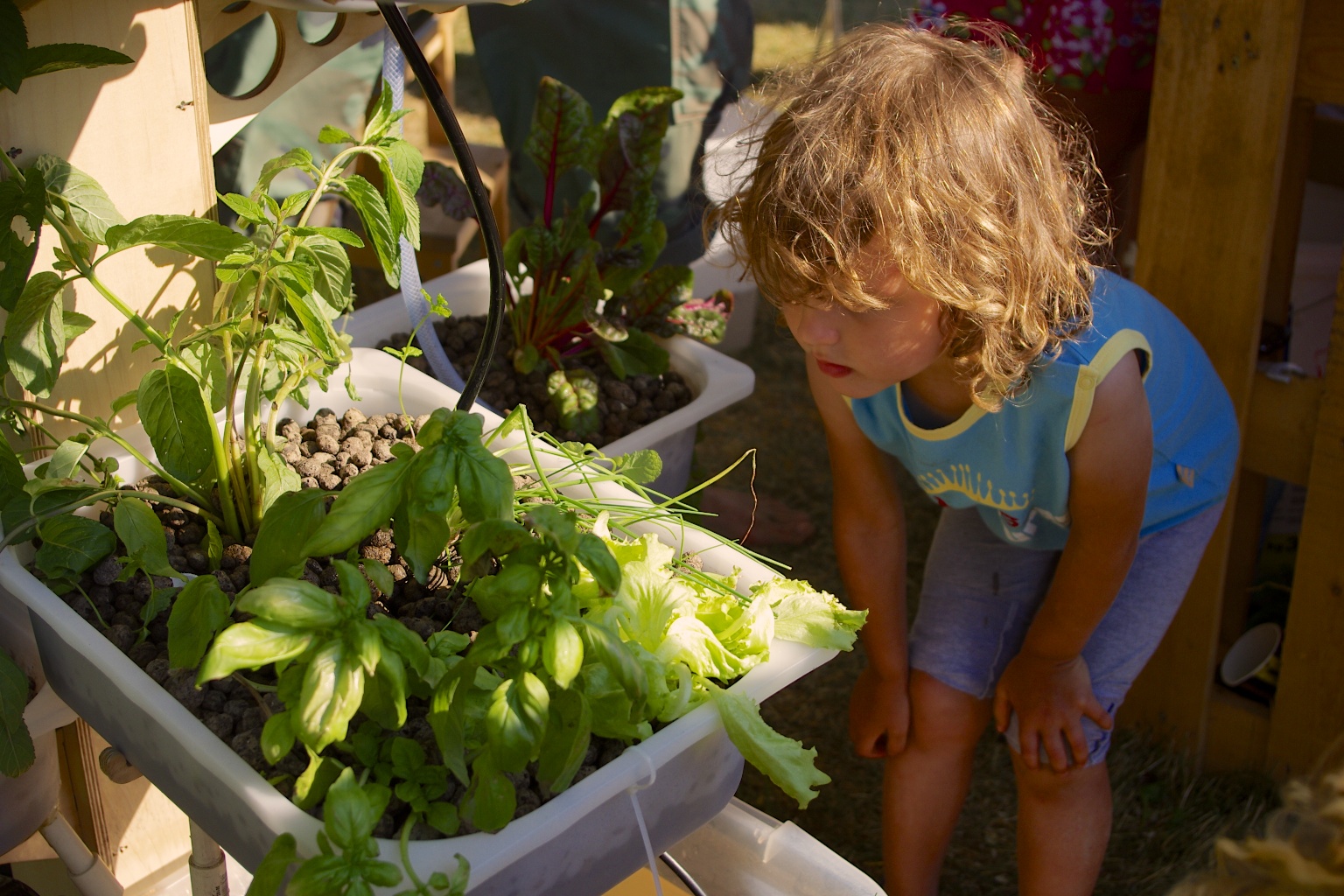 a child bending down over looking at some plants