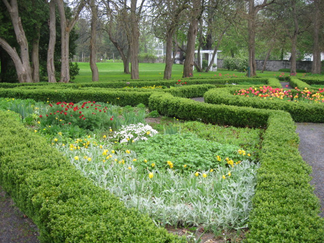 a grassy circular hedge garden with several flowers in the center
