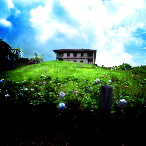 a house sitting on top of a lush green hillside