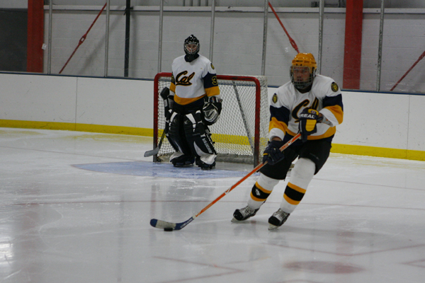 two people standing on the ice playing hockey