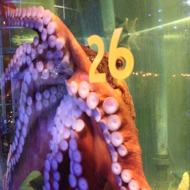an octo with the number twenty two on it