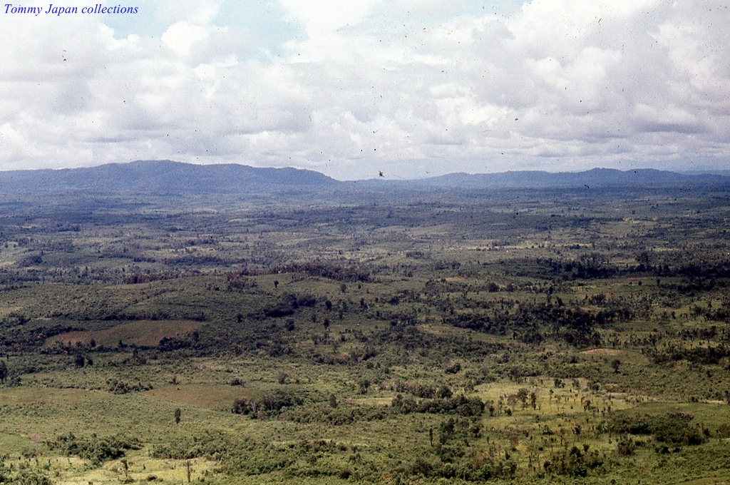 large amount of green field with mountains in the background