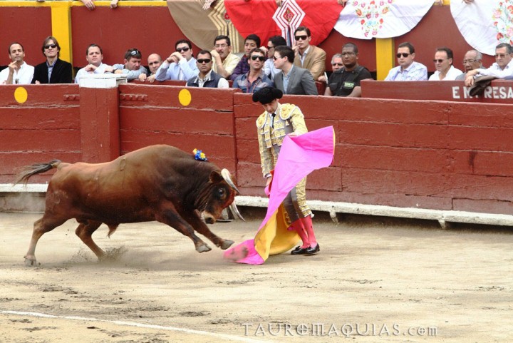 a woman in a red dress is chasing a bull in an arena