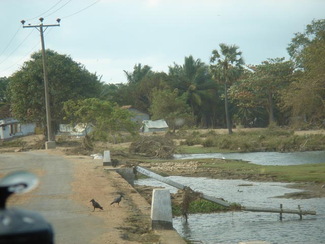 a river and some houses on the side of the road