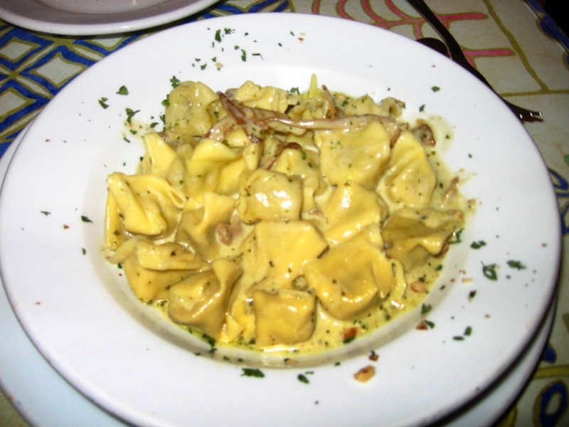 pasta with cheese and garnish served on a plate