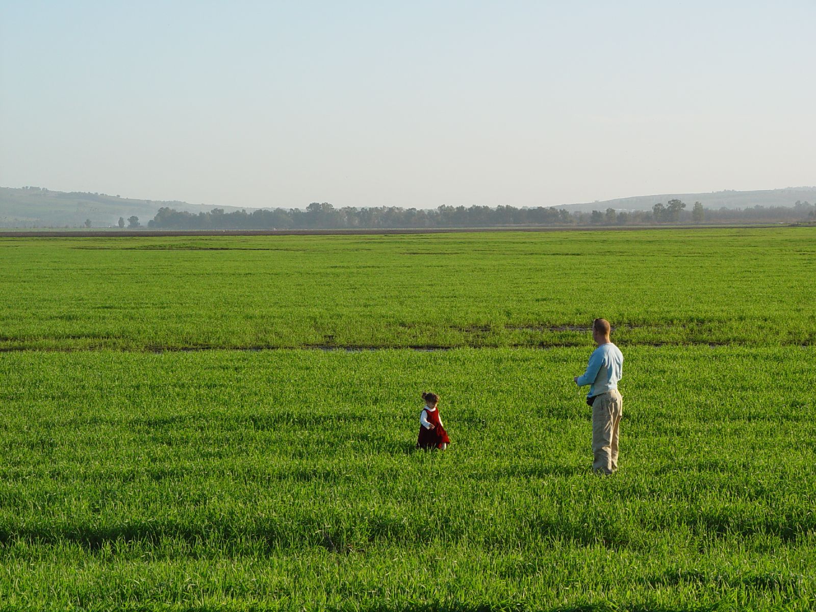 man and child flying kite in a green field