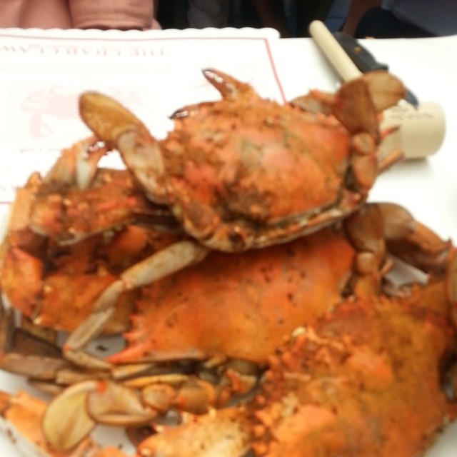two crabs with shells on top of white plate