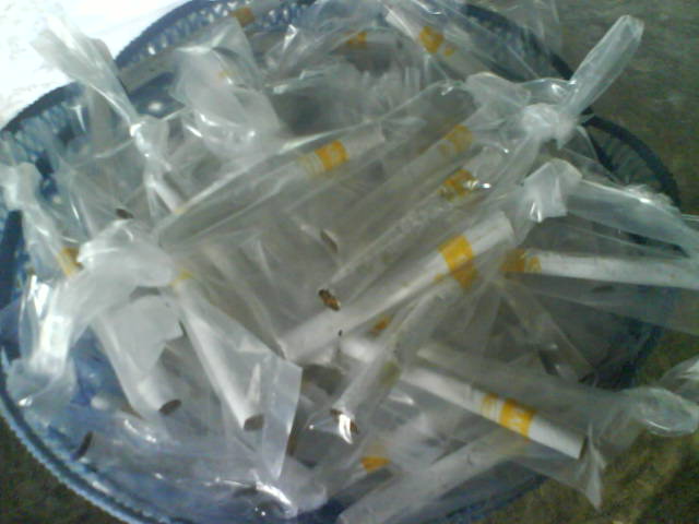 there are some small toothbrushes wrapped in plastic