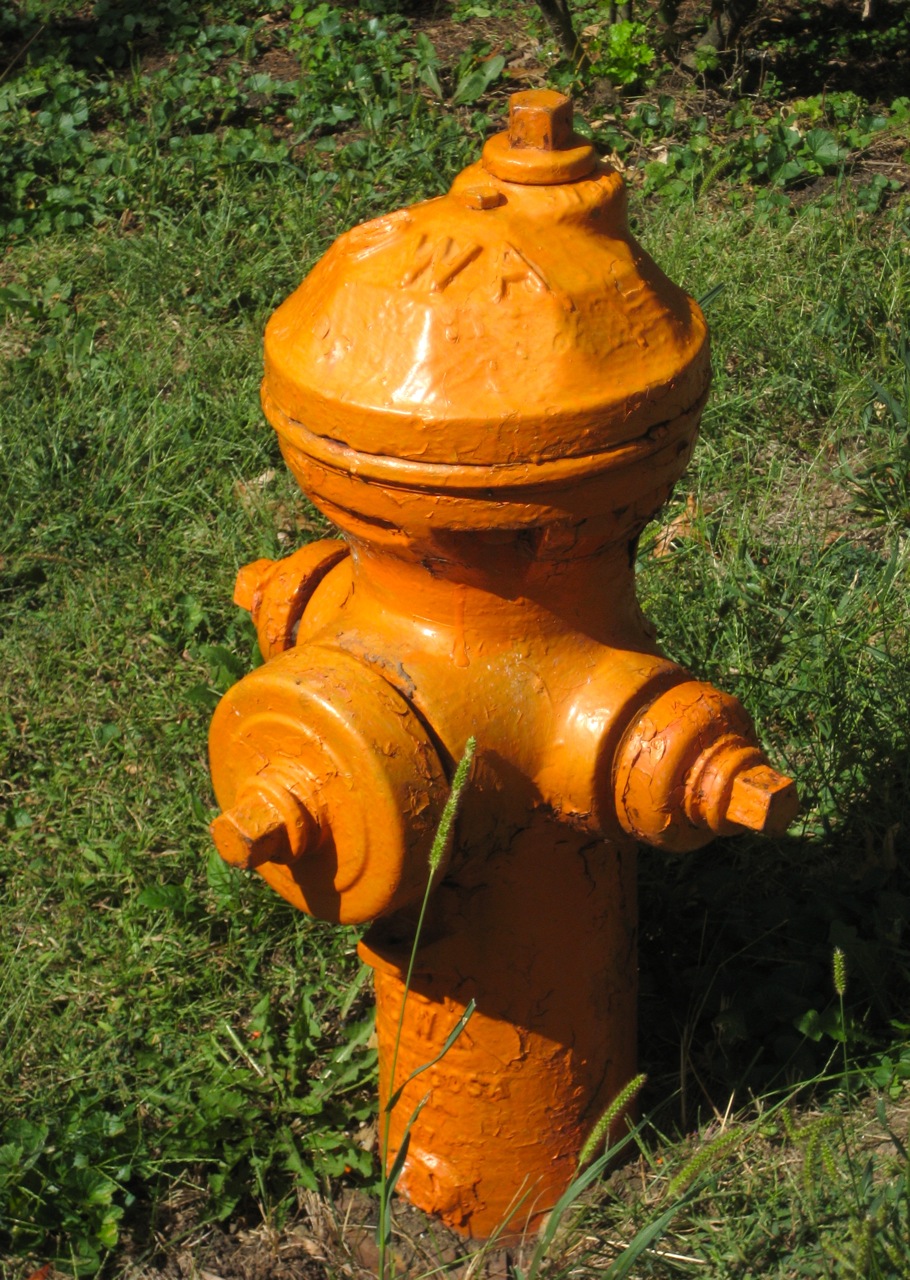 a yellow fire hydrant in some grass