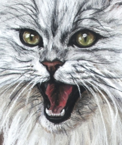 the painting shows the cat's green eyes and a snarling, open mouth
