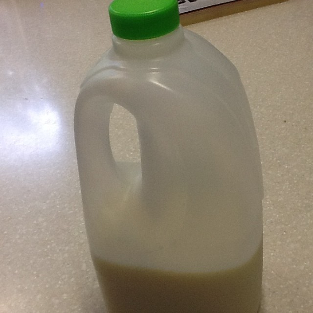 a jug of milk sitting on the ground