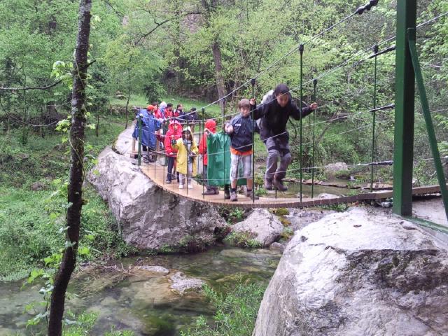 group of people walking on a wooden walkway over a stream