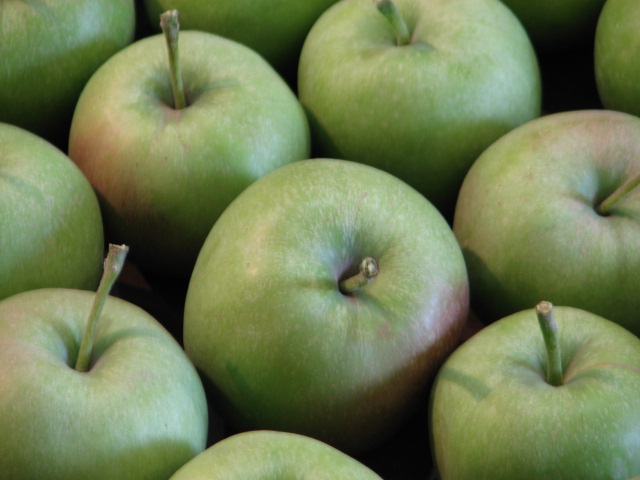 a close up of green apples, sitting in rows