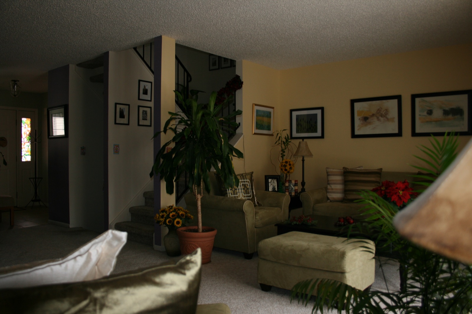 an open living room with potted plant and pictures