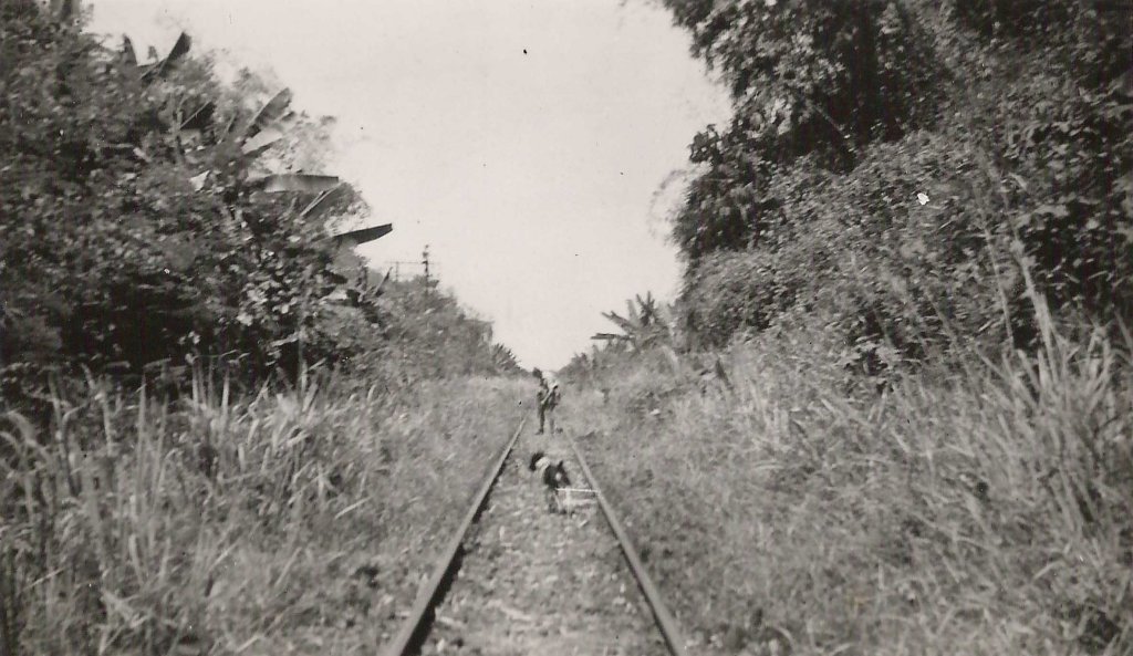 a person is walking along an old train track