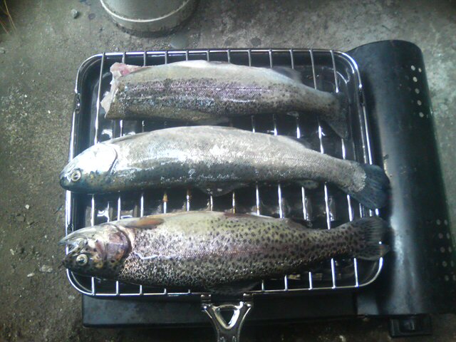 three cut fish sitting on top of an open grill