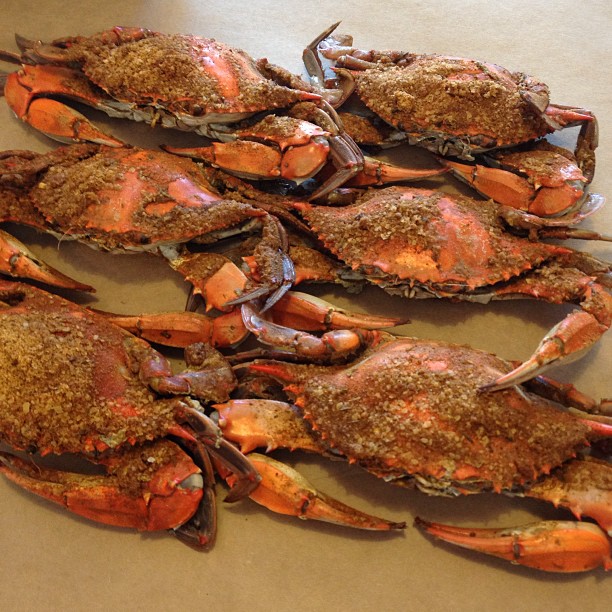 blue crabs on a brown table in a pile