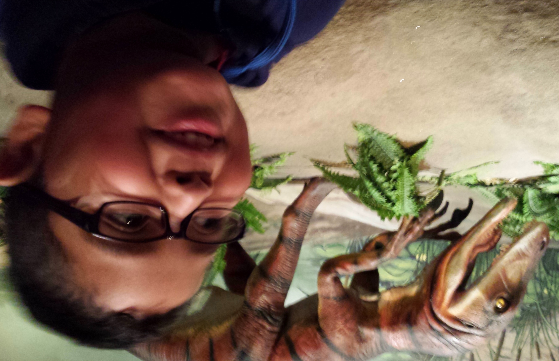 a boy is standing next to an exhibit of dinosaurs