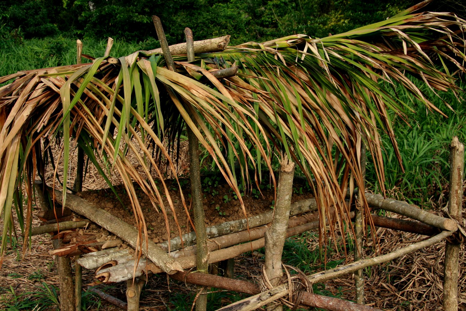 the structure has a small grass hut on it