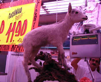 a small white statue of a goat inside a store