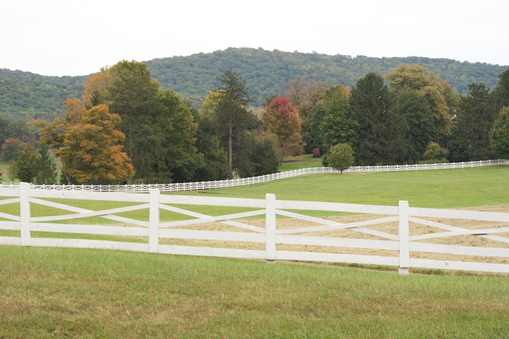 there is a white fenced in area of grass and trees