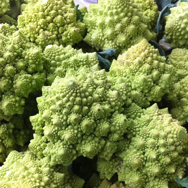 several pieces of fresh broccoli are displayed for sale