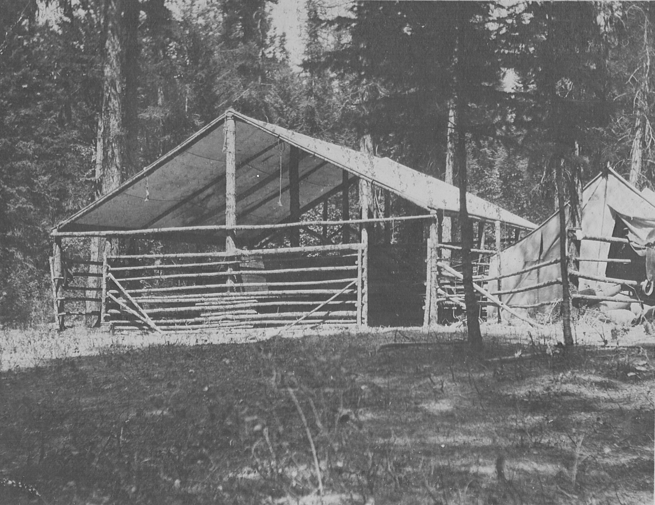 there is a small wooden house in the woods