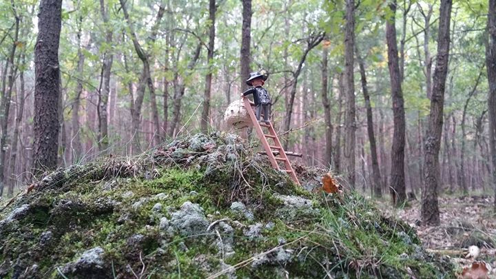 a man walking up a hill in the woods with a ladder