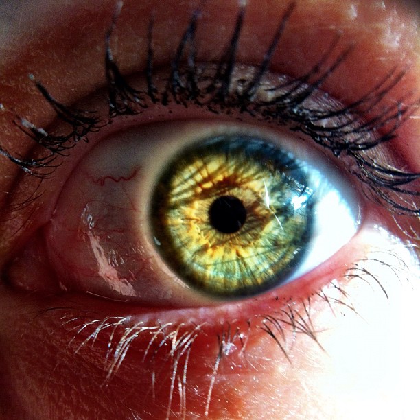 the eye is open so you can see the iris