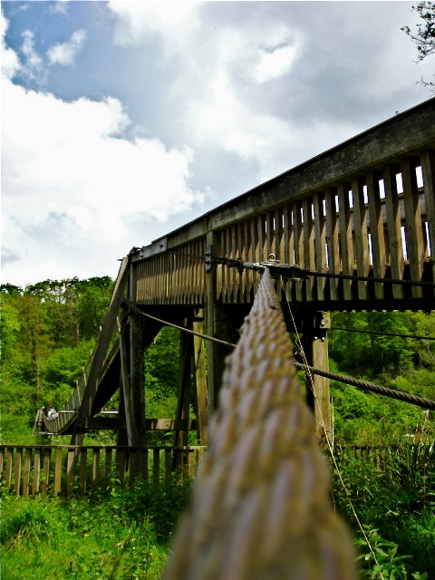 a view from below a wooden walkway bridge