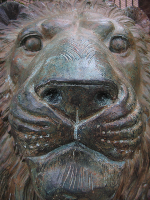 the head of a statue is shown of a lion