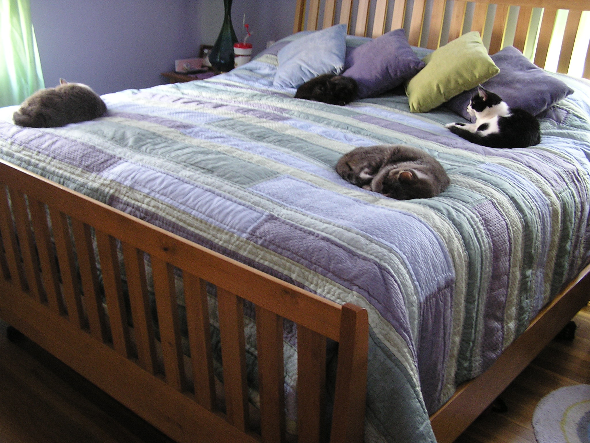 four cats sleeping on a large bed