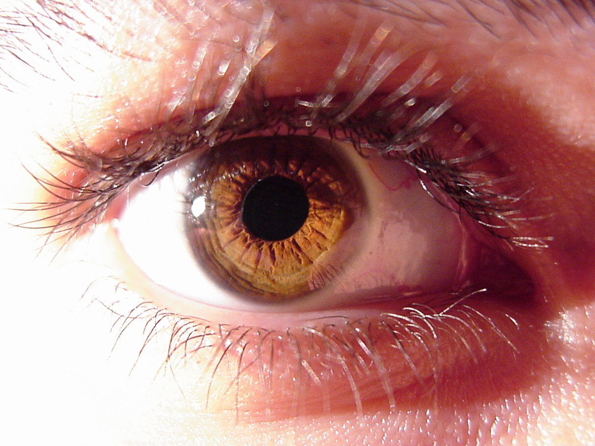 an extreme close up of a person's eye with wet contactive