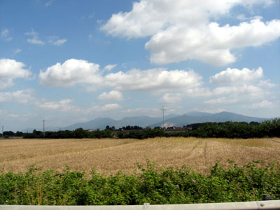 view of a farm field from a moving train