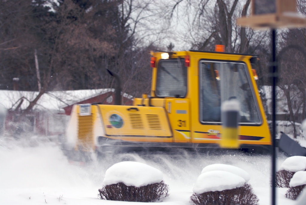 yellow construction machine plowing through snow covered shrubs