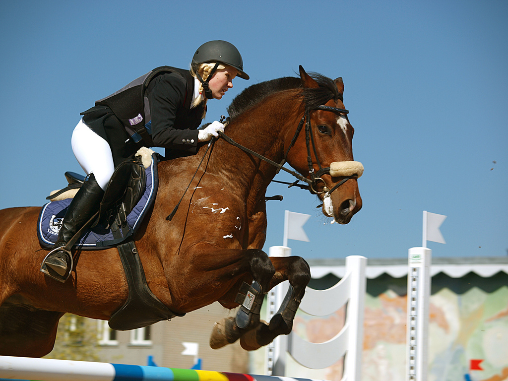 the horse and rider are jumping over an obstacle
