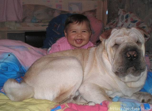 a small baby smiles at the camera while resting on his dog
